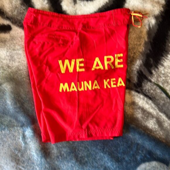 115A. Wailoa We Are Mauna Kea Kū Kia’i Mauna Kids Surf shorts (10) - Picture 4 of 6